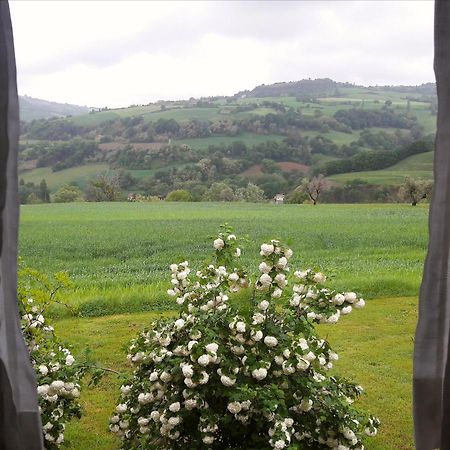 Le Bumbarelle Bed & Breakfast Tavoleto ภายนอก รูปภาพ