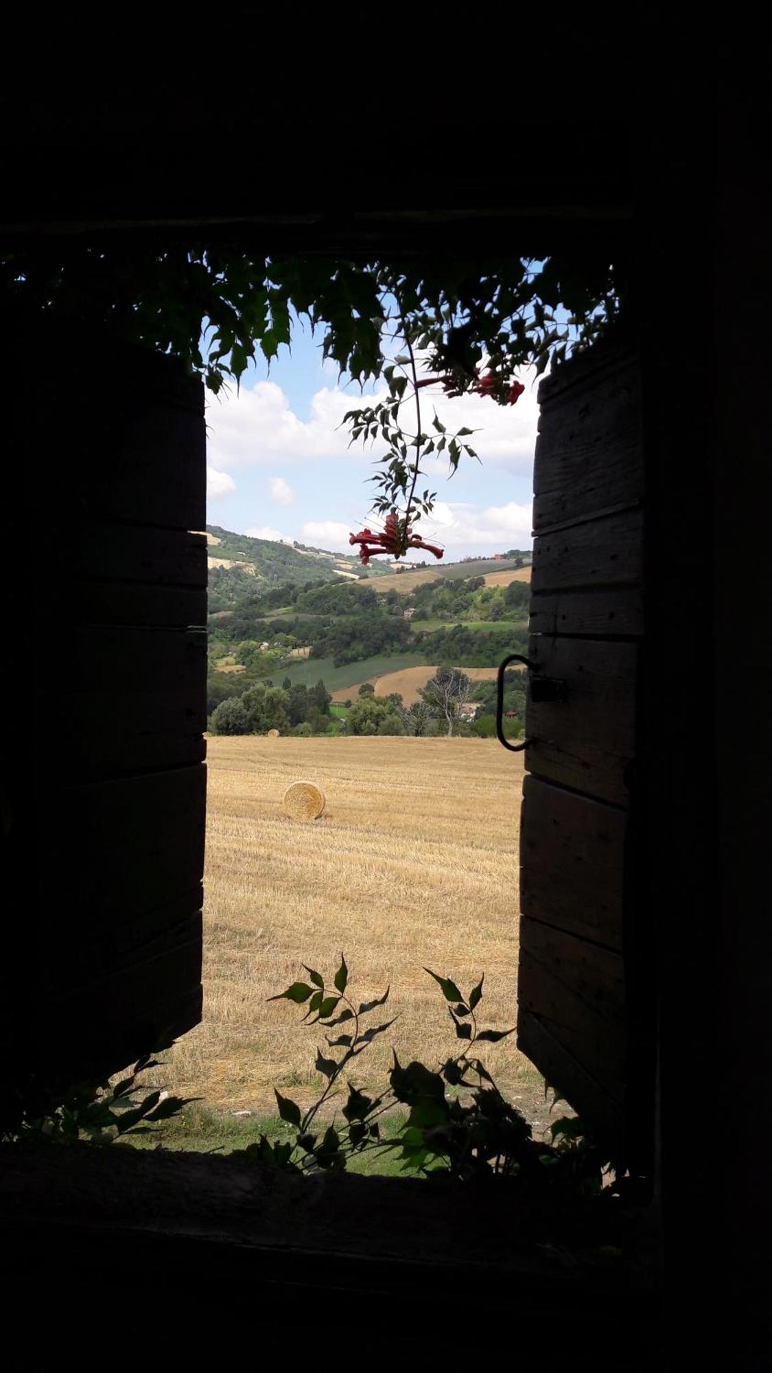 Le Bumbarelle Bed & Breakfast Tavoleto ภายนอก รูปภาพ