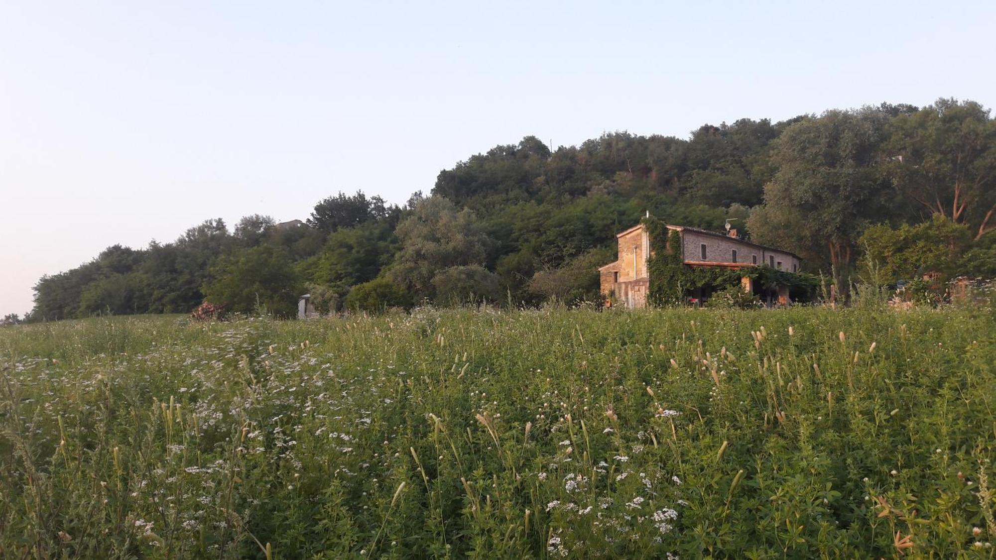 Le Bumbarelle Bed & Breakfast Tavoleto ภายนอก รูปภาพ