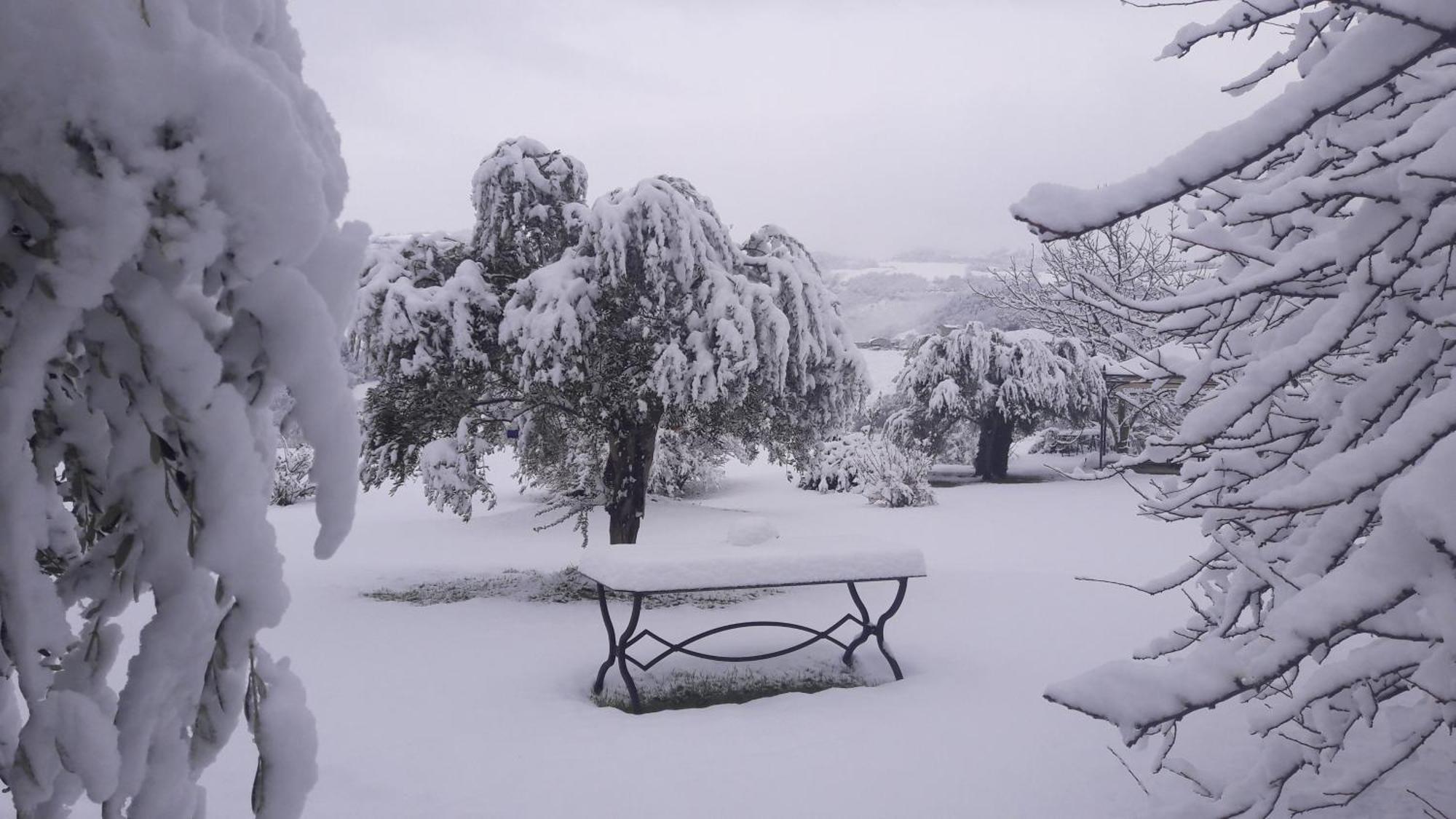 Le Bumbarelle Bed & Breakfast Tavoleto ภายนอก รูปภาพ