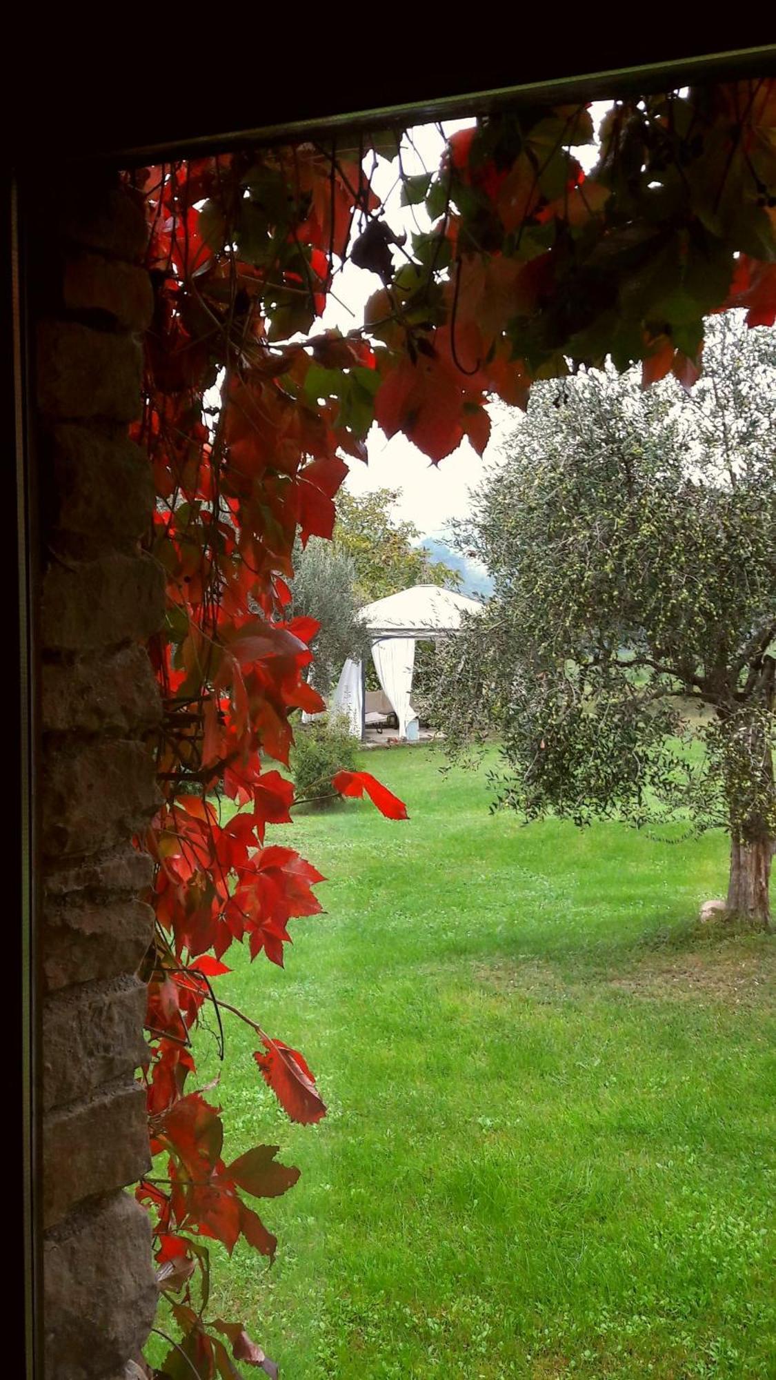 Le Bumbarelle Bed & Breakfast Tavoleto ภายนอก รูปภาพ