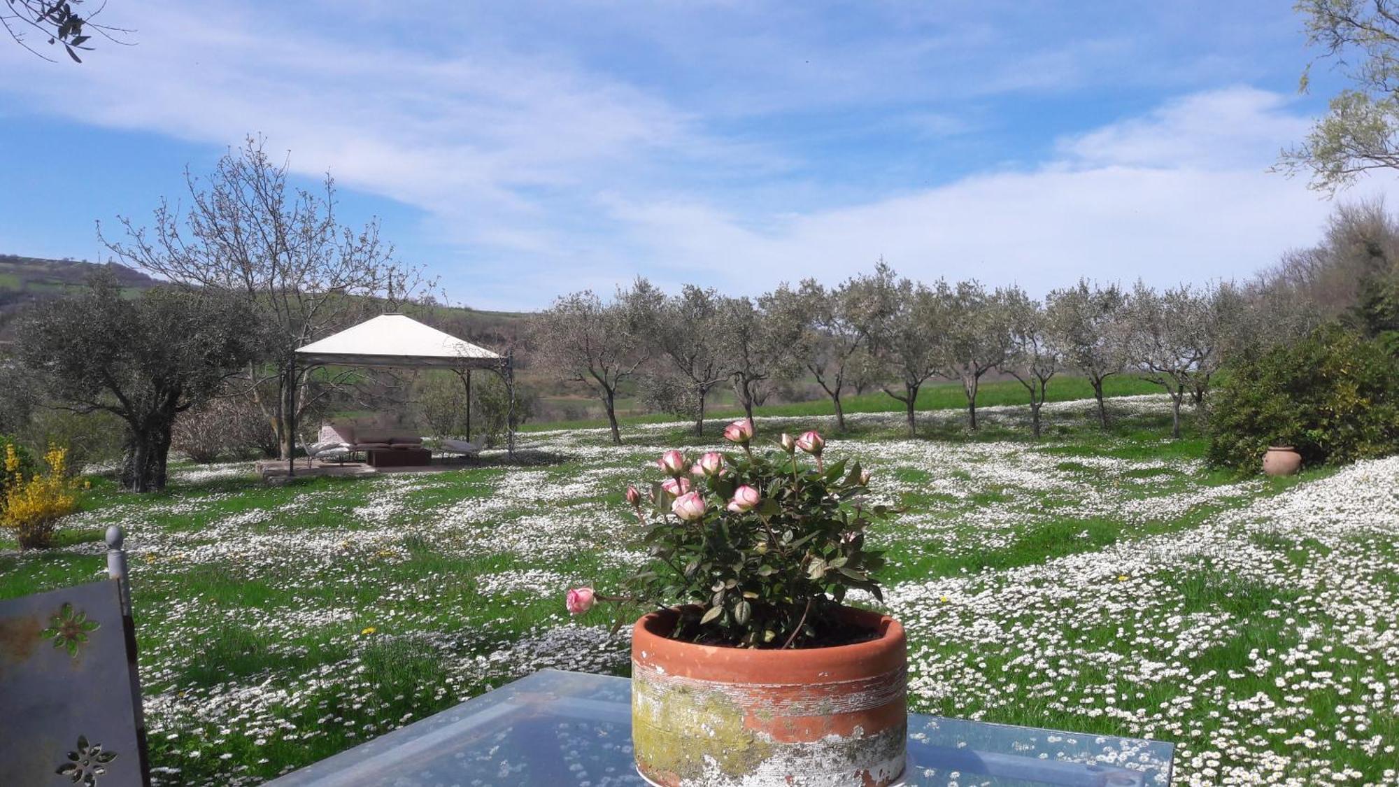 Le Bumbarelle Bed & Breakfast Tavoleto ภายนอก รูปภาพ