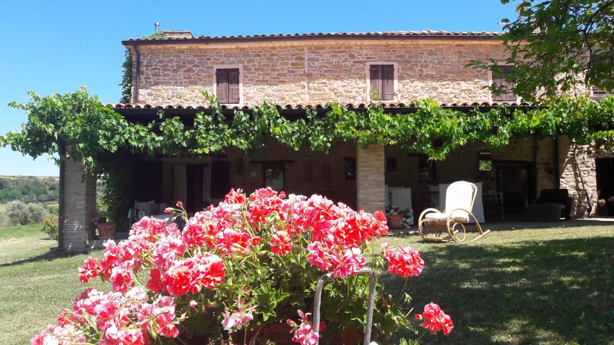 Le Bumbarelle Bed & Breakfast Tavoleto ภายนอก รูปภาพ