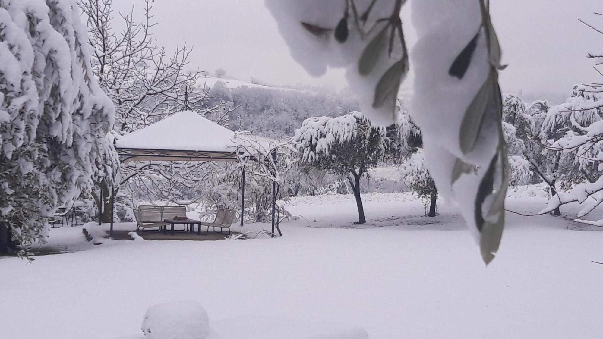 Le Bumbarelle Bed & Breakfast Tavoleto ภายนอก รูปภาพ