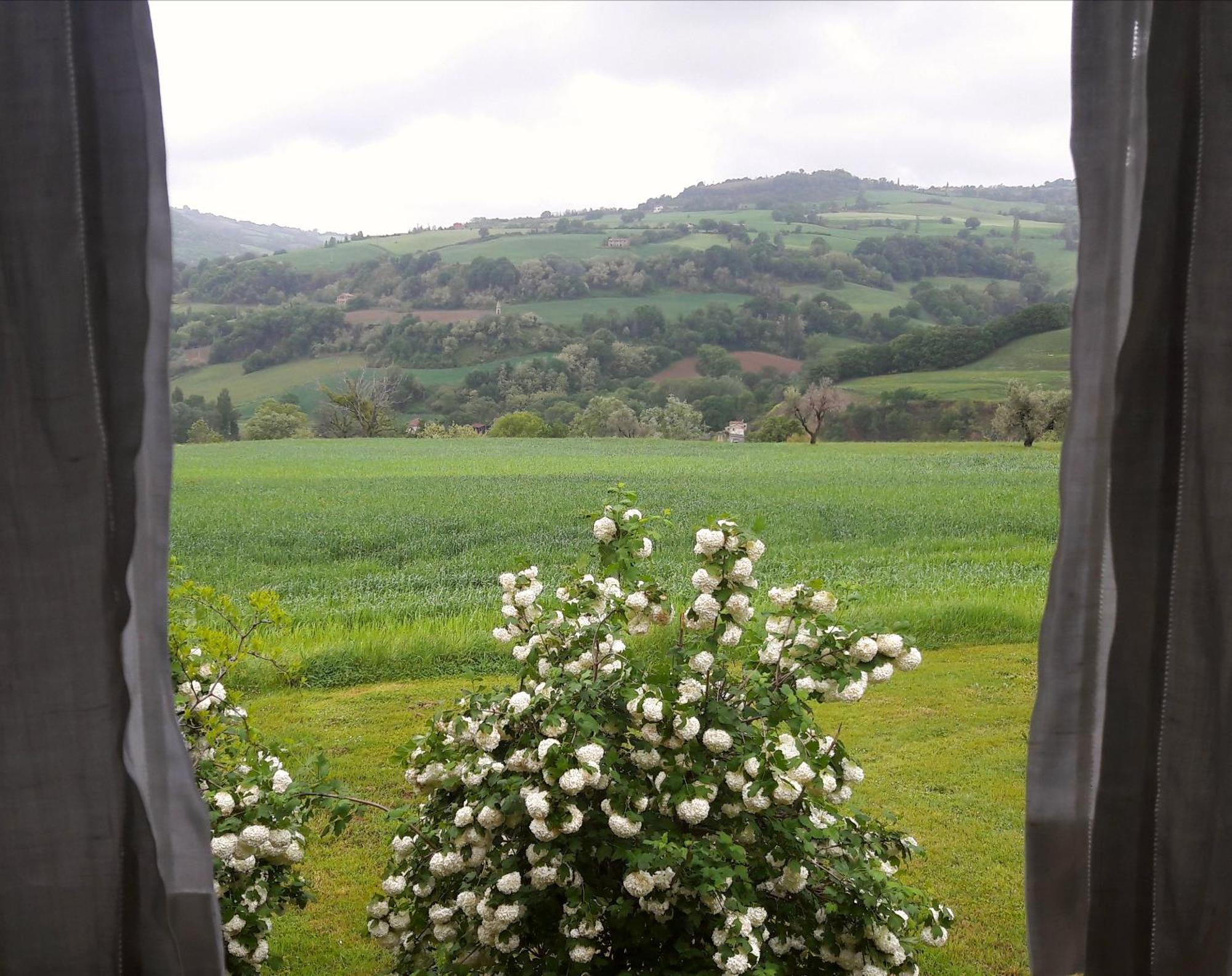 Le Bumbarelle Bed & Breakfast Tavoleto ภายนอก รูปภาพ