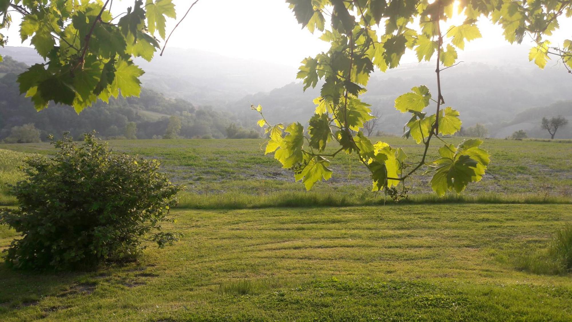 Le Bumbarelle Bed & Breakfast Tavoleto ภายนอก รูปภาพ