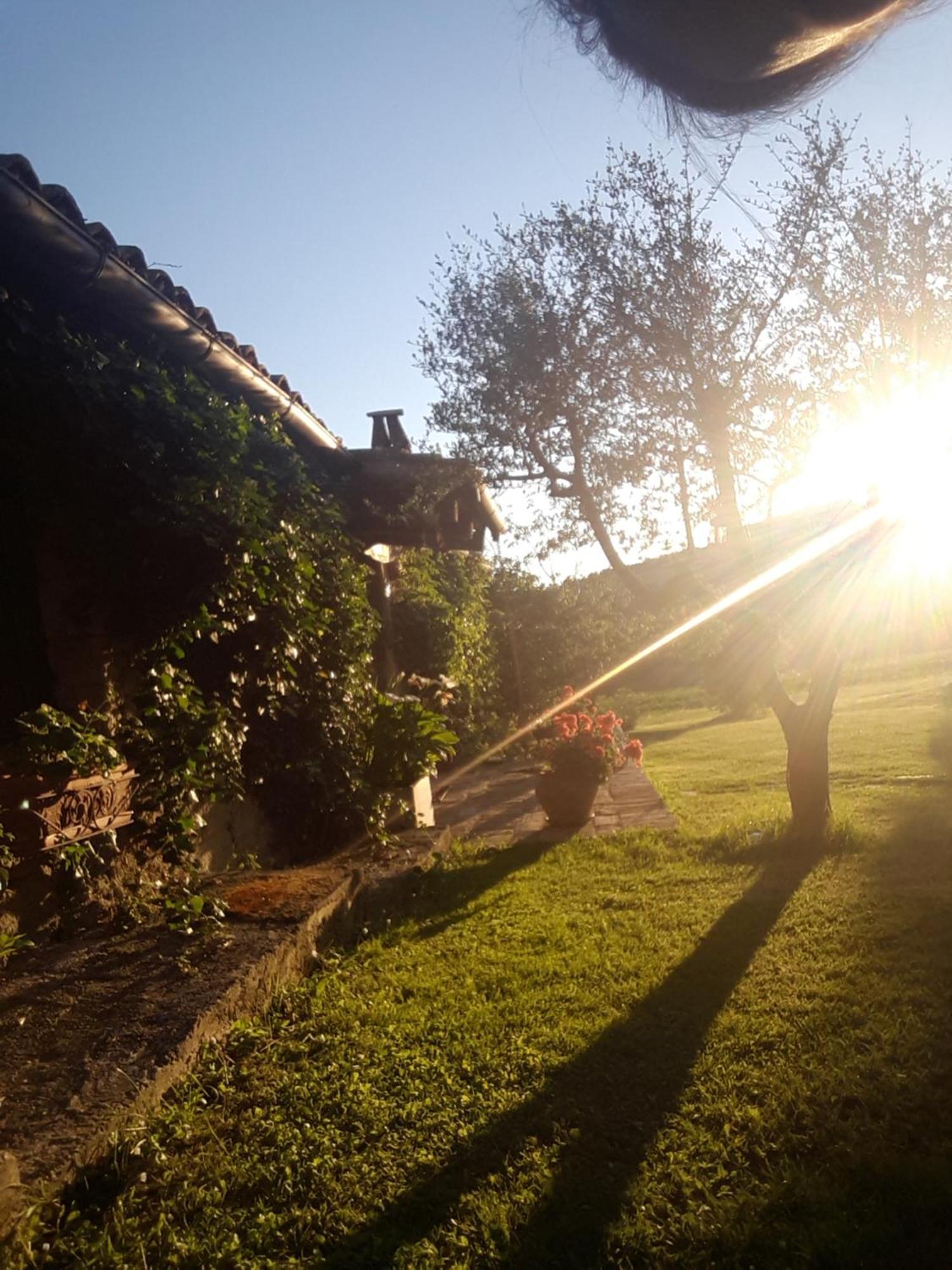 Le Bumbarelle Bed & Breakfast Tavoleto ภายนอก รูปภาพ