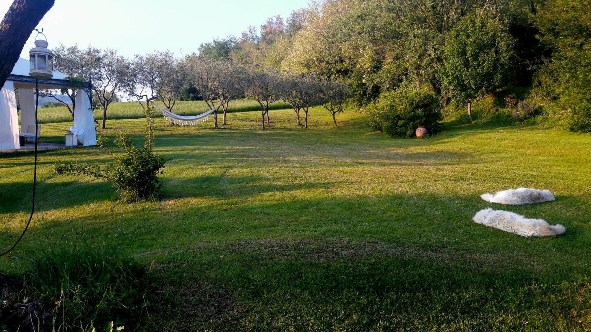 Le Bumbarelle Bed & Breakfast Tavoleto ภายนอก รูปภาพ