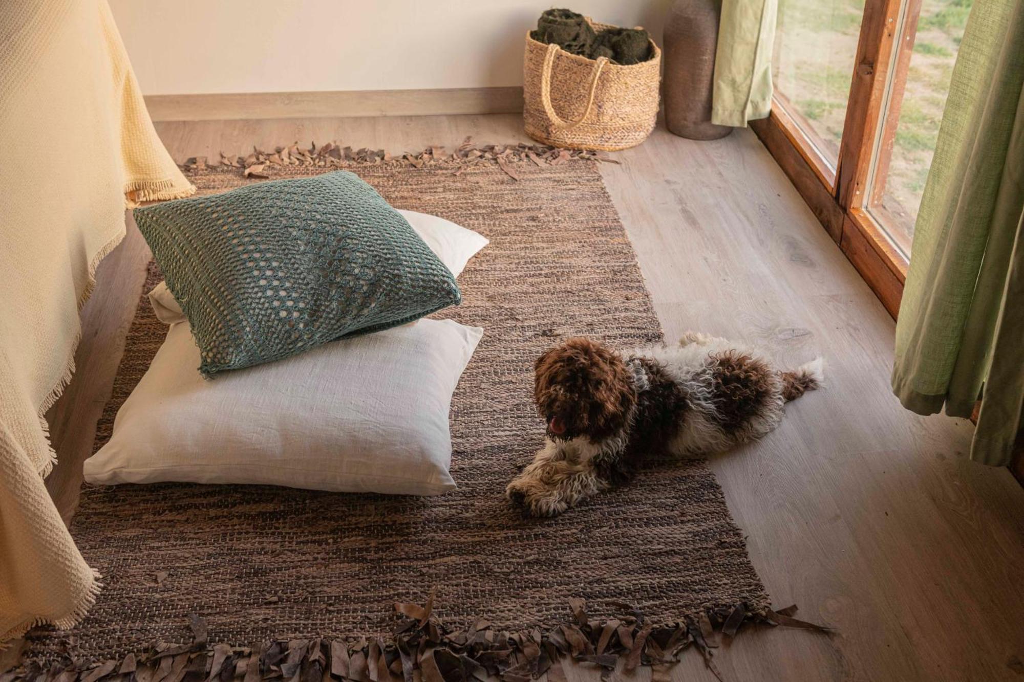 Le Bumbarelle Bed & Breakfast Tavoleto ภายนอก รูปภาพ