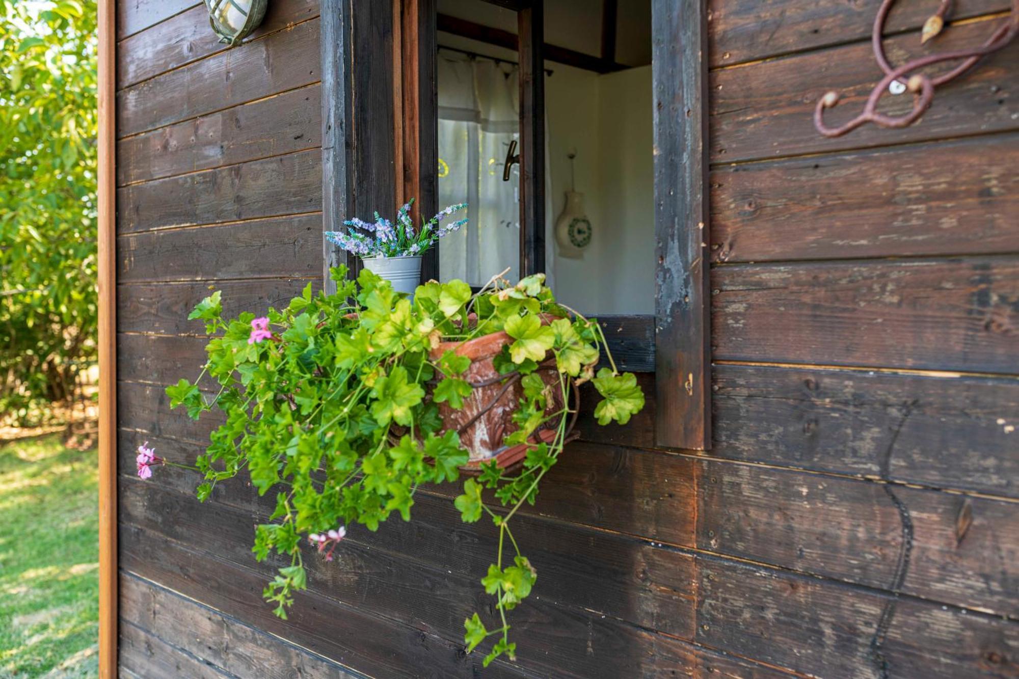Le Bumbarelle Bed & Breakfast Tavoleto ภายนอก รูปภาพ