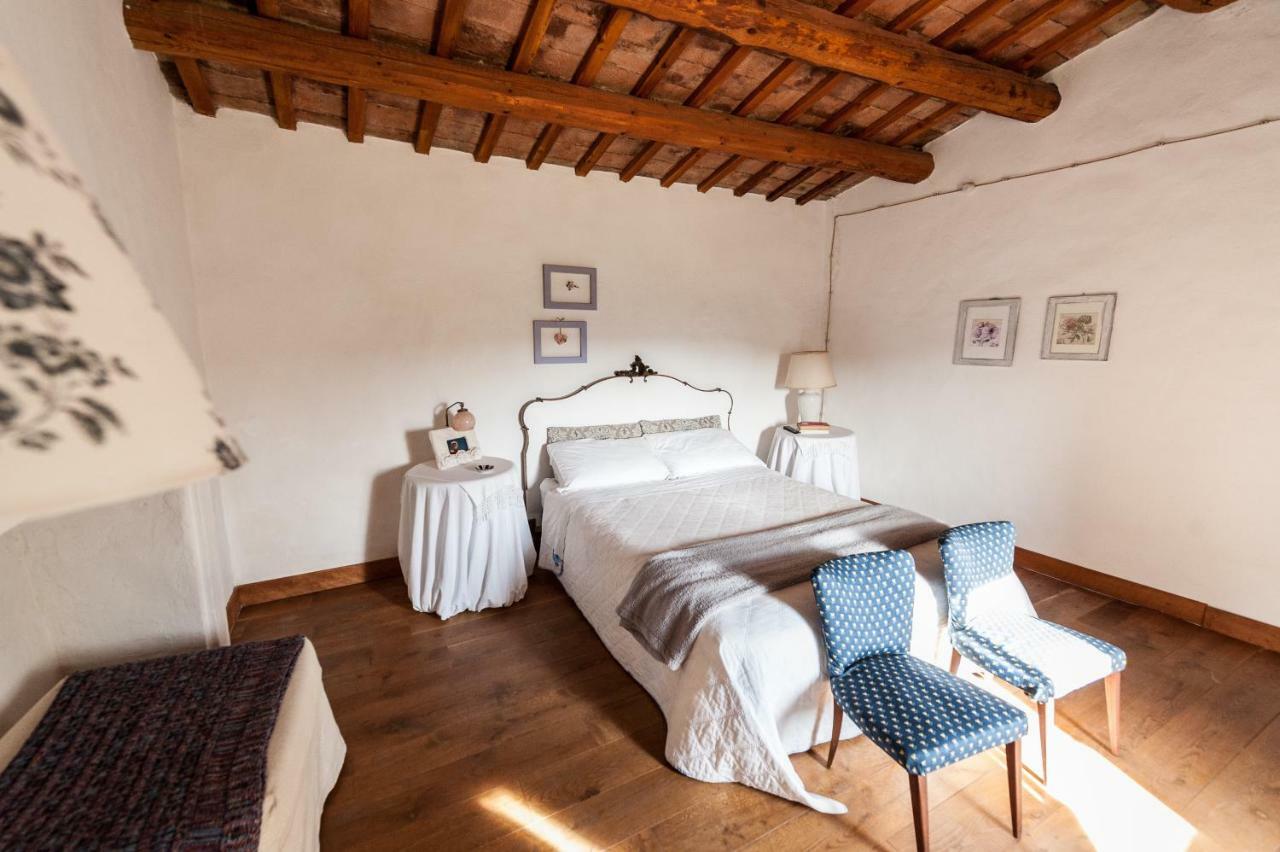 Le Bumbarelle Bed & Breakfast Tavoleto ภายนอก รูปภาพ