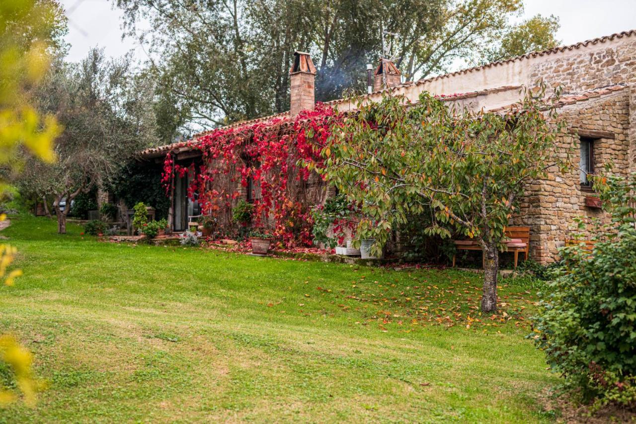 Le Bumbarelle Bed & Breakfast Tavoleto ภายนอก รูปภาพ